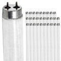 24 Inch 20W 2700K Warm White T9 Fluorescent Tube Light Bulb G13 Bi-Pin Base 2 Foot Linear Lamp Pack of 30 H370