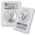 1 oz American Silver Eagle Coin T432955