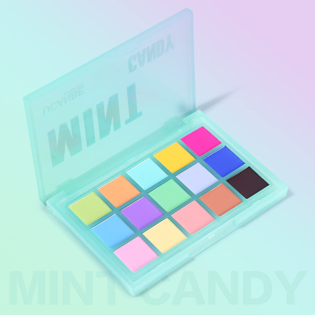 Colorful Matte 15 Shades Eyeshadow Palette C4600