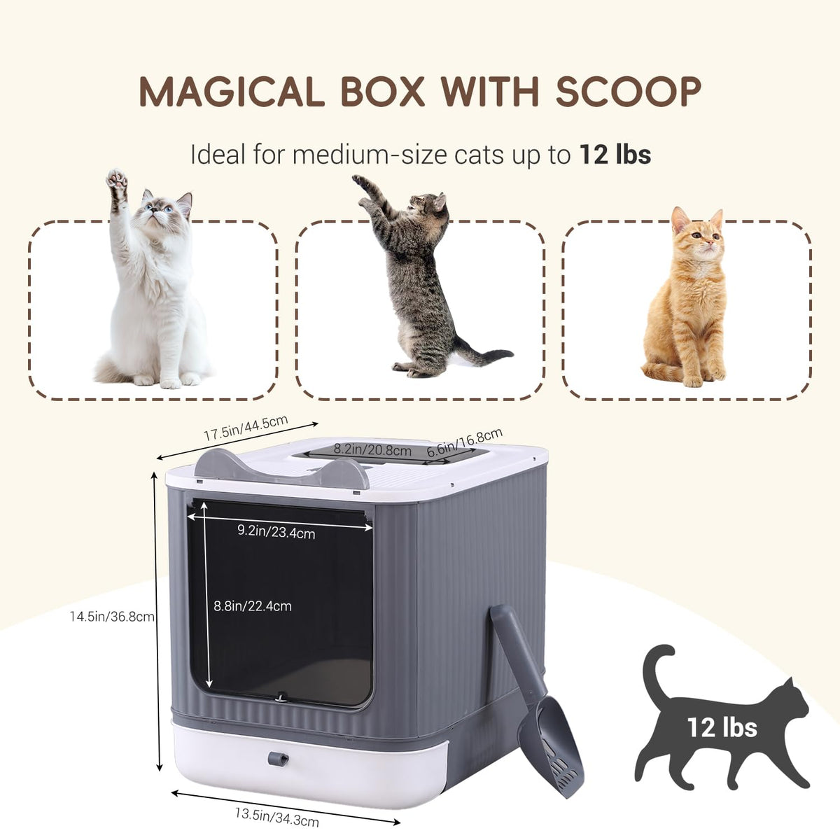 Covered Cat Litter Box with Lid H19884