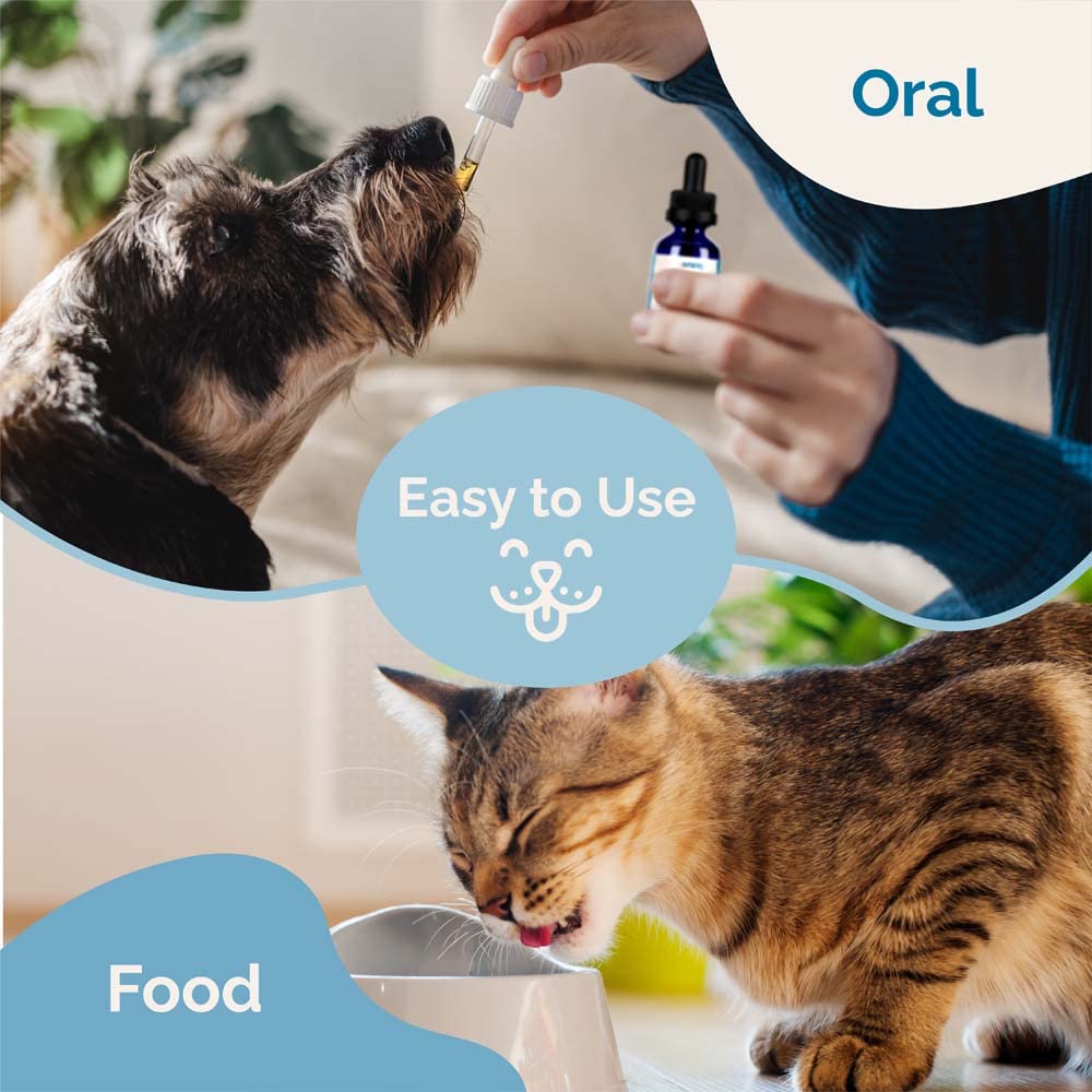 Liver Supplement for Dogs & Cats Herbal Formula Y770962