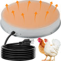 Heated Chicken Waterer 5 Gallon 125W V603