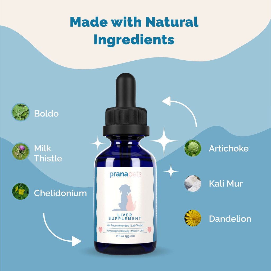 Liver Supplement for Dogs & Cats Herbal Formula Y770962