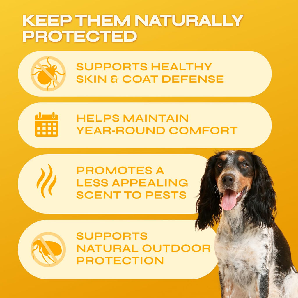 Flea and Tick Chewable Soft Treats for Dogs O856659
