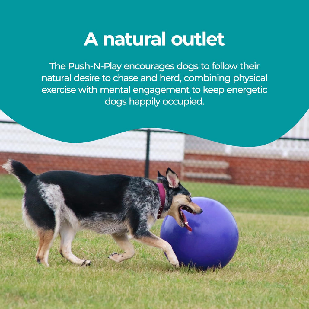 Blue Extra-Large Dog Toy W6034