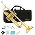 Standard Brass Trumpet Set J750037