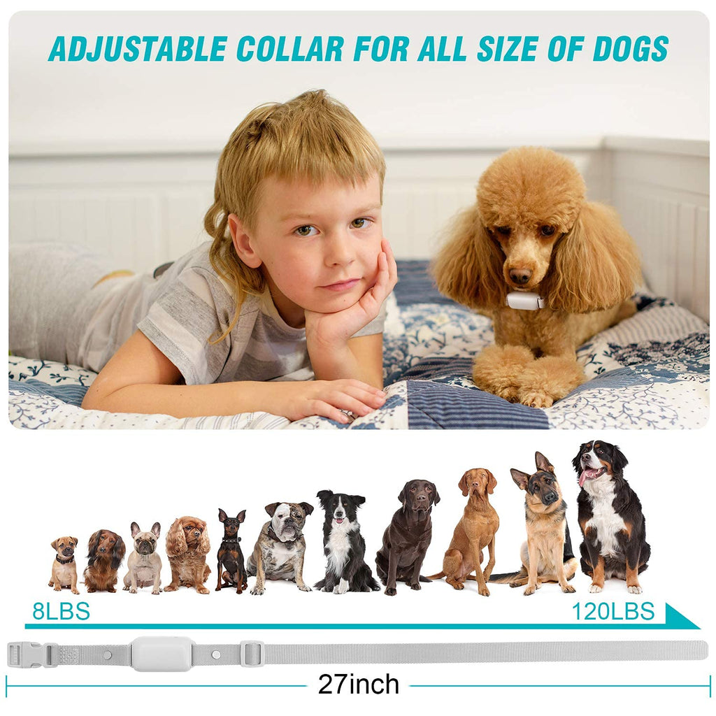 Waterproof Rechargeable Dog Training Collar with Remote Z388