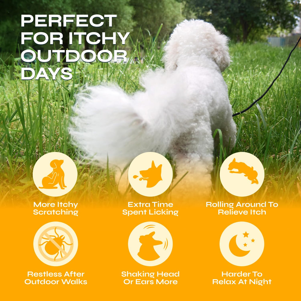 Flea and Tick Chewable Soft Treats for Dogs O856659