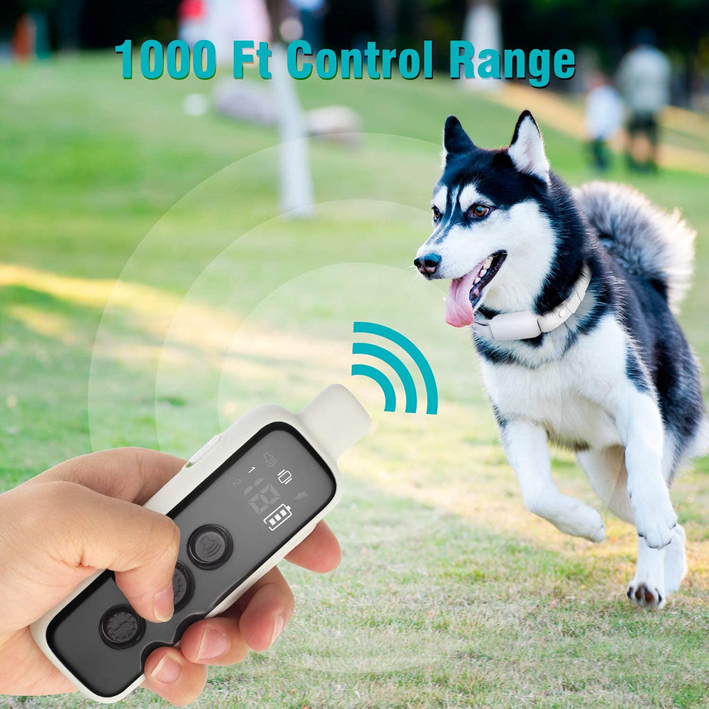Waterproof Rechargeable Dog Training Collar with Remote Z388
