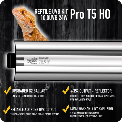 24W T5 10.0 UVB Reptile Light Fixture and Tube Kit E664