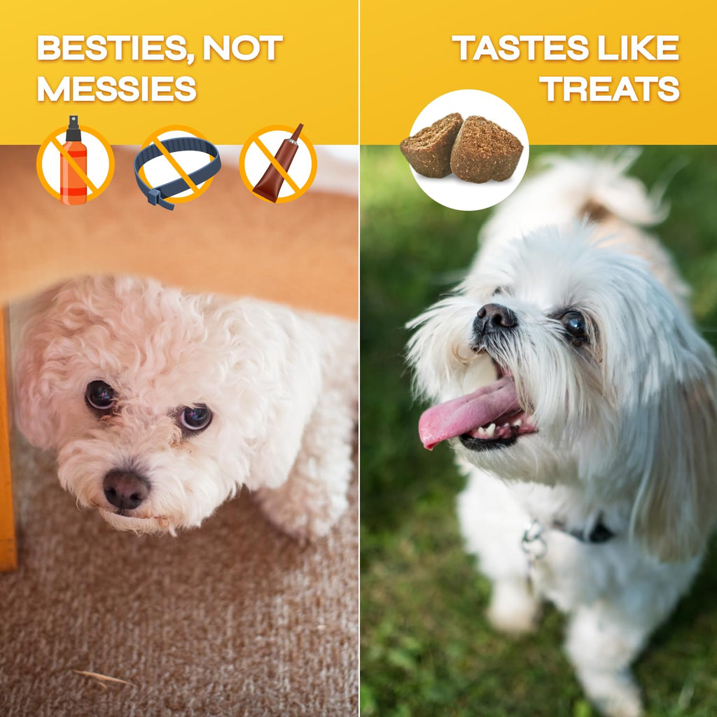 Flea and Tick Chewable Soft Treats for Dogs O856659