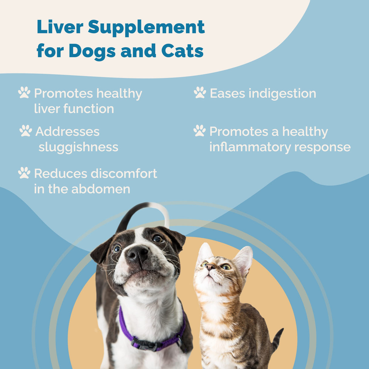 Liver Supplement for Dogs & Cats Herbal Formula Y770962