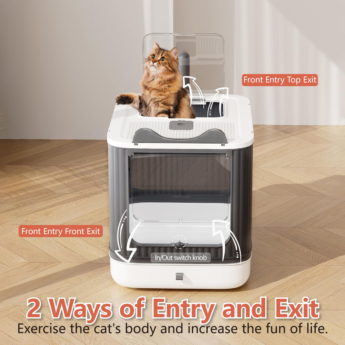 Covered Cat Litter Box with Lid H19884