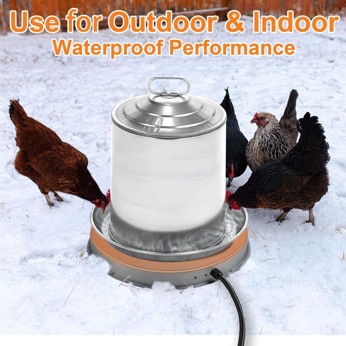 Heated Chicken Waterer 5 Gallon 125W V603