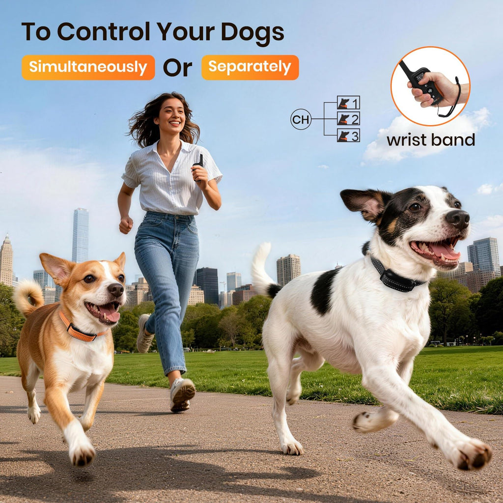 Vibration & Beep Dog Training Collar with Remote U65458