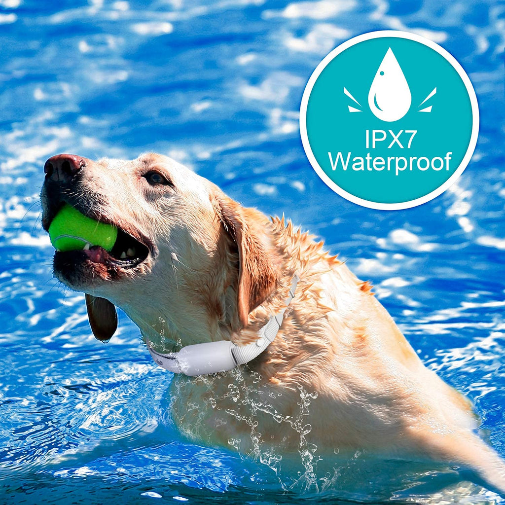 Waterproof Rechargeable Dog Training Collar with Remote Z388