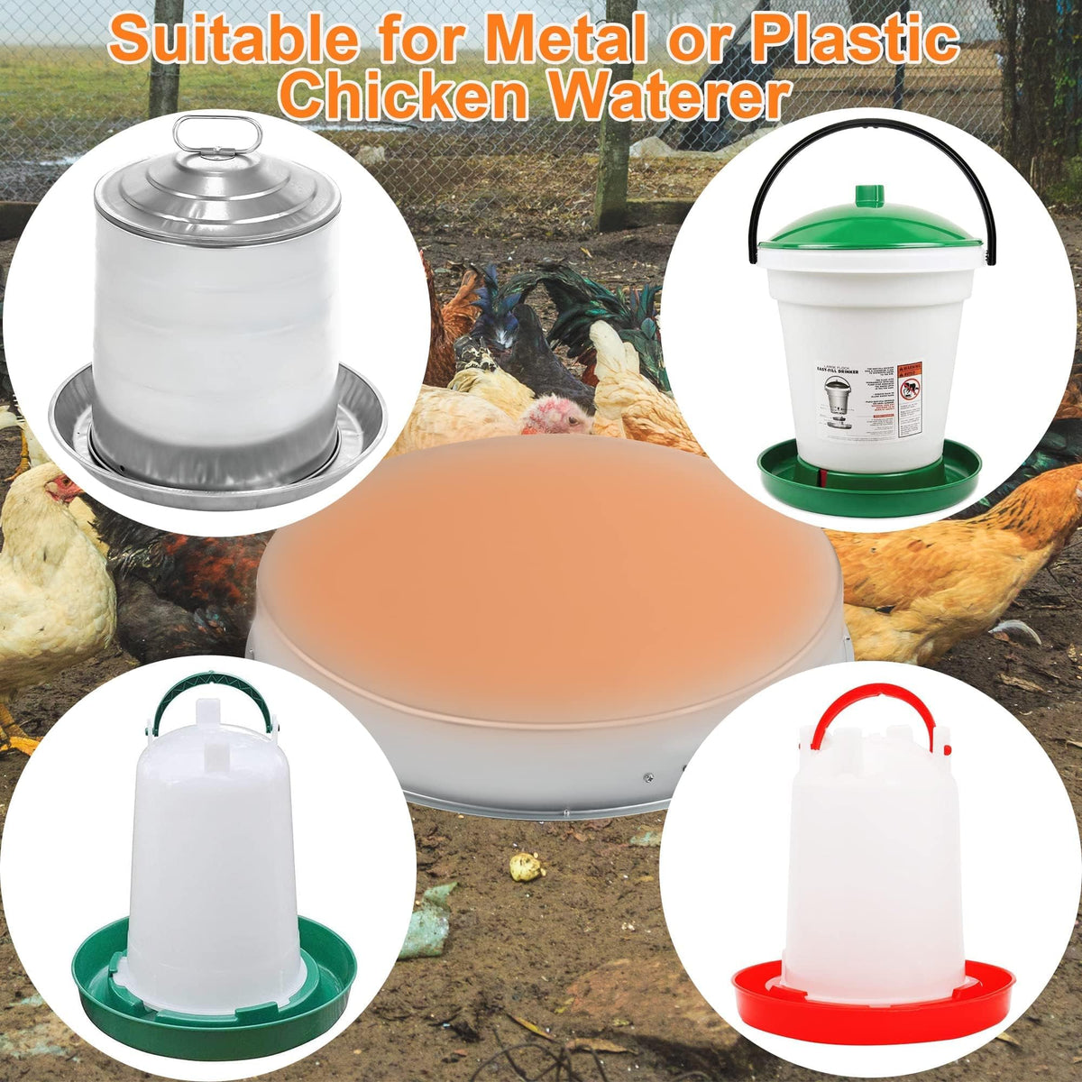 Heated Chicken Waterer 5 Gallon 125W V603