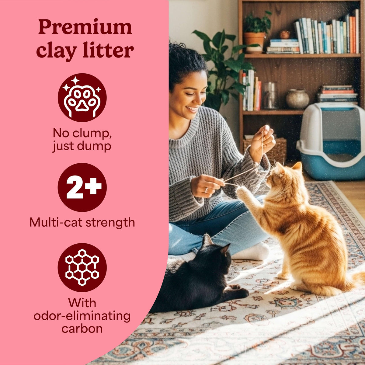 Non-Clumping Cat Litter with Odor Control, 14 lb. Bag U9518