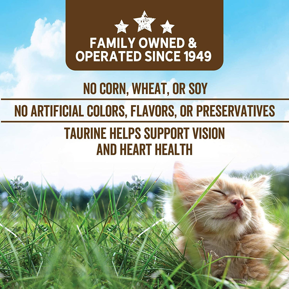 Grain Free Whitefish and Egg Cat Food M5297