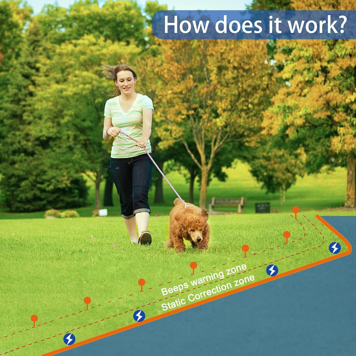 In-Ground Electric Dog Fence System with 2 Collars J819