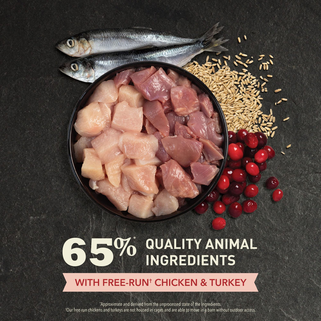 Dry Cat Food Chicken Turkey 4lb Bag X816
